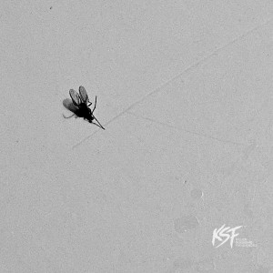 Listen to Mýrargötu Groove song with lyrics from KSF (Killer Sounding Frequencies)