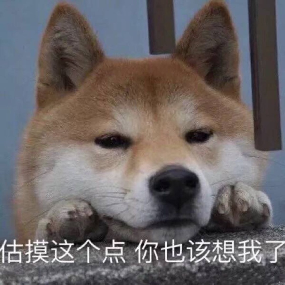 裴梨