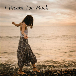 Dengarkan I Dream Too Much lagu dari Jeff Heiniger dengan lirik