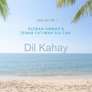 ดาวน์โหลดและฟังเพลง Dil Kahay (feat. Rizwan Anwar & Zenab Fatimah Sultan) พร้อมเนื้อเพลงจาก Saad Sultan