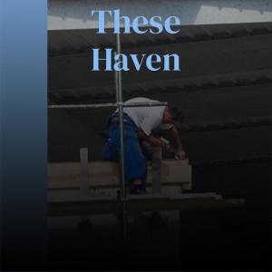 Various的专辑These Haven