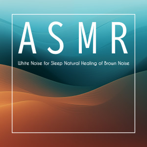 อัลบัม 白噪音睡眠 自然疗愈 布朗噪音ASMR ศิลปิน 贵族音乐