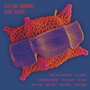 Kris Davis的專輯Diatom Ribbons