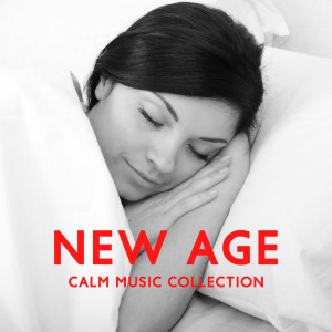 New Age Calm Music Collection (Insomnia Relief, Music for Study, Life Changing Meditation, Evening Yoga,  Favorable Relaxation)