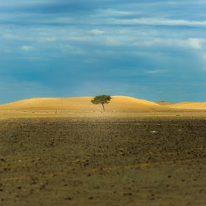 Continue的專輯미안하단 말