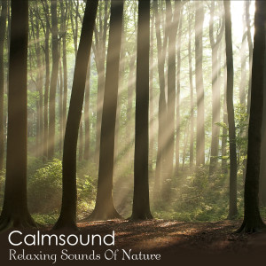 收听Calmsound的Relaxing Mix歌词歌曲