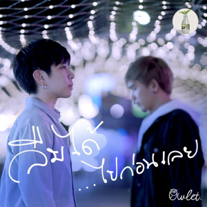 อัลบัม ลืมได้...ไปก่อนเลย - Single ศิลปิน Owlet