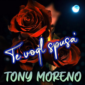 ดาวน์โหลดและฟังเพลง Te vogl spusa' พร้อมเนื้อเพลงจาก Ben Monder