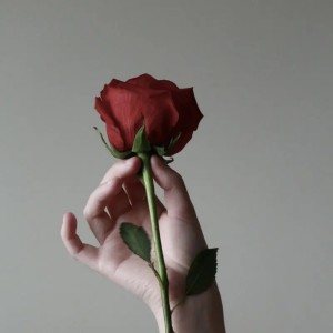 ดาวน์โหลดและฟังเพลง 玫瑰少年 (cover: 五月天) (完整版) พร้อมเนื้อเพลงจาก 纱琉璃Shelley