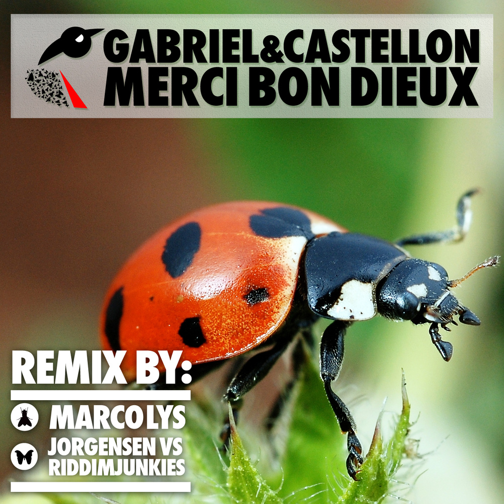 Merci bon dieux (Jorgensen Vs. RiddimJunkies Remix)