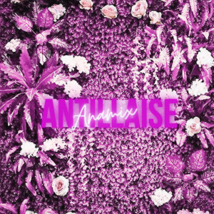 Album Antillaise from 