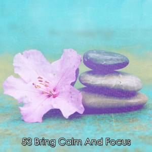 Album 53 Bring Calm And Focus from Outside Broadcast Recordings