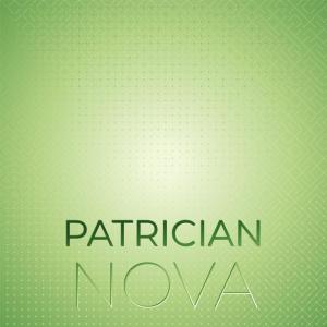 Dengarkan lagu Seem Suitable nyanyian Apae dengan lirik