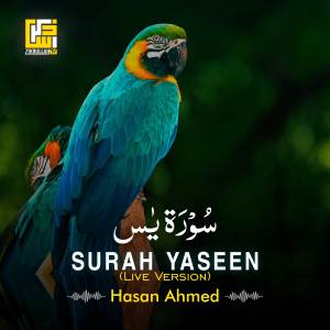Surah Yaseen (Live Version)