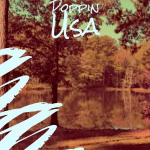 Various的专辑Poppin Usa