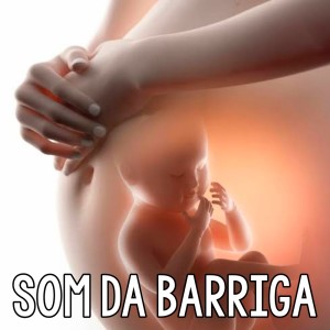 Listen to Som da Barriga 4 song with lyrics from Natureza Relaxante