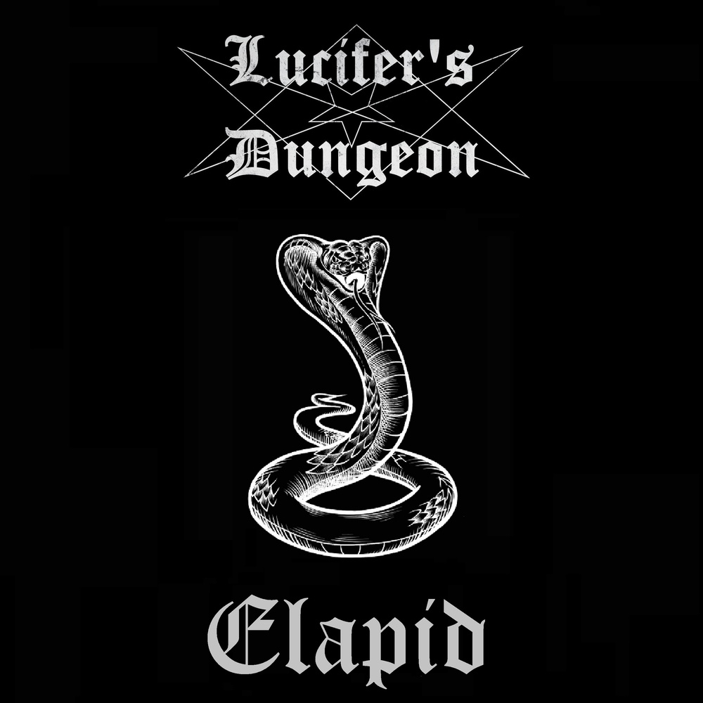 Elapid
