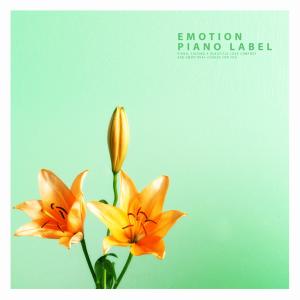 Dengarkan From Your Shoulders lagu dari 시간여행자 dengan lirik