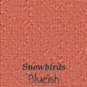 Album Snowbirds Blueish oleh Various