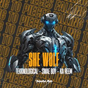 Listen to She Wolf (feat. Ka Reem) (Falling to Pieces) song with lyrics from tekknological