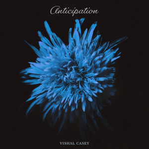 Vishal Casey的专辑Anticipation
