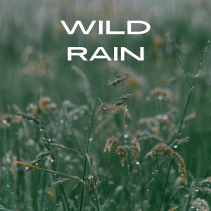 ดาวน์โหลดและฟังเพลง Wild Rain พร้อมเนื้อเพลงจาก Dreams of Dreams
