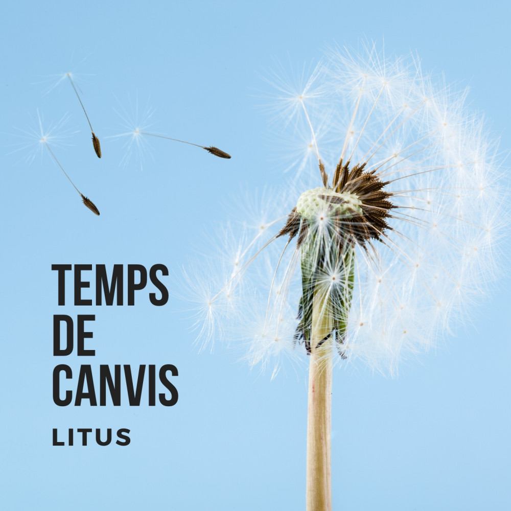 Temps de Canvis