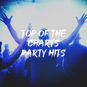 Album Top of the Charts Party Hits oleh Various