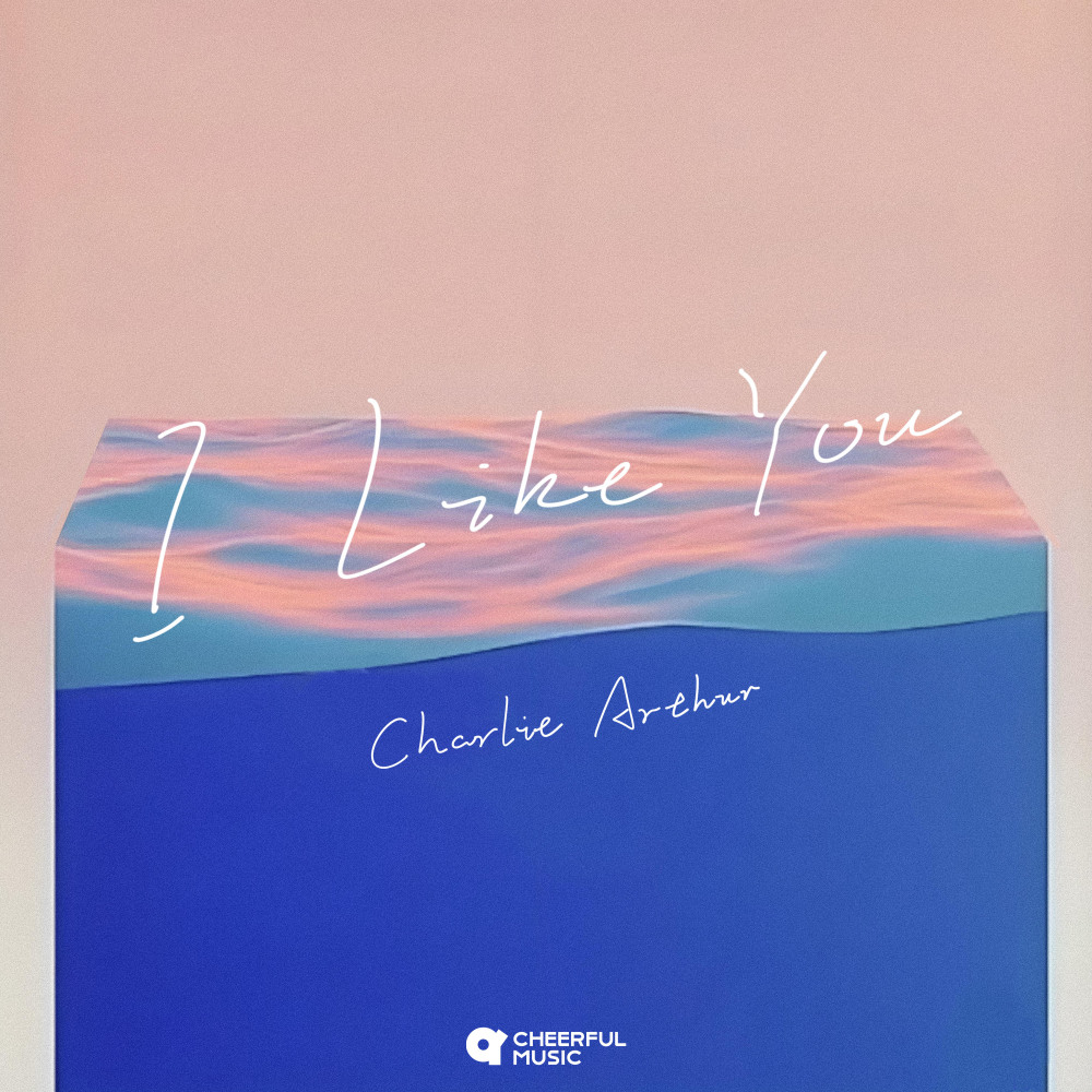 I Like You (instrumental)
