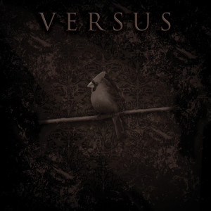 ดาวน์โหลดและฟังเพลง No Safety พร้อมเนื้อเพลงจาก Versus