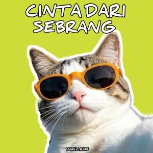 Cinta Dari Seberang