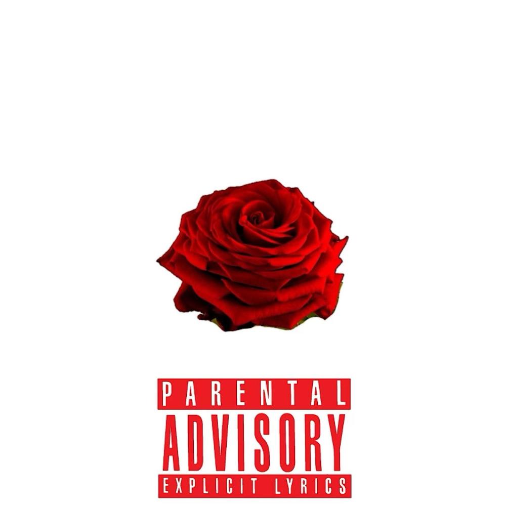 Wanna stay (Explicit)