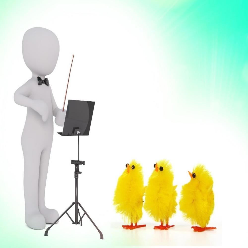A ORCHESTRAL JOKE!