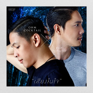 ดาวน์โหลดและฟังเพลง เสียงในใจ พร้อมเนื้อเพลงจาก ปั๊บ โปเตโต้