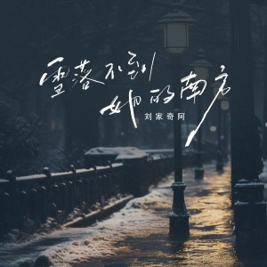 Album 雪落不到她的南方 from 刘家奇