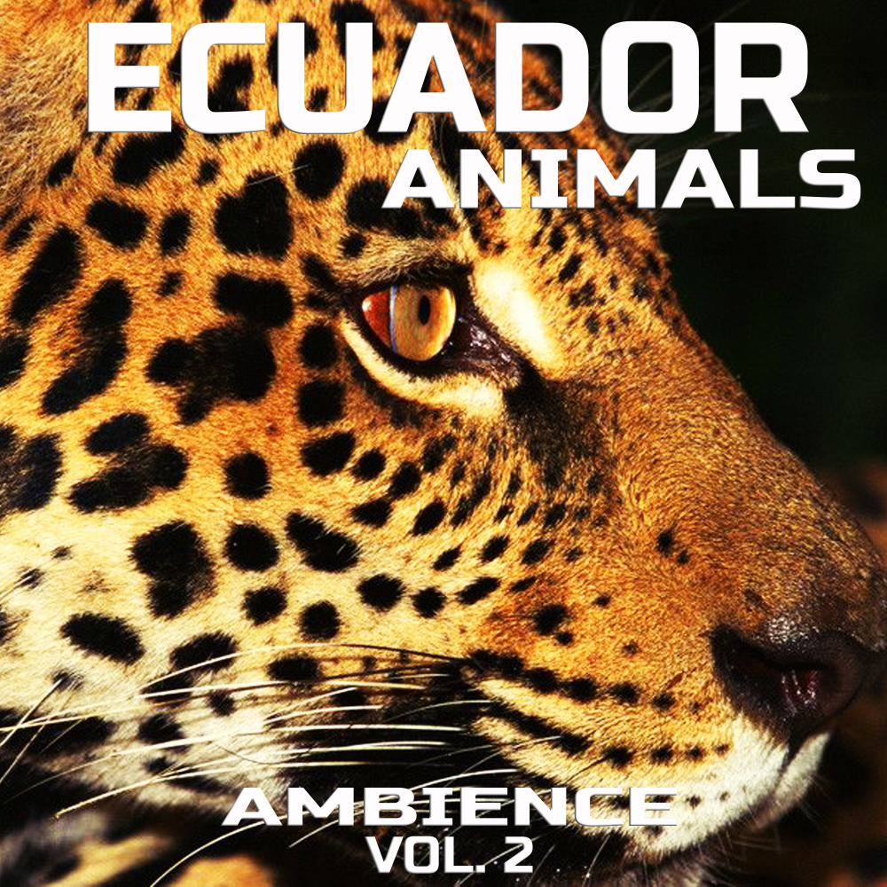 Soothing Ecuador Animals Nature Sounds
