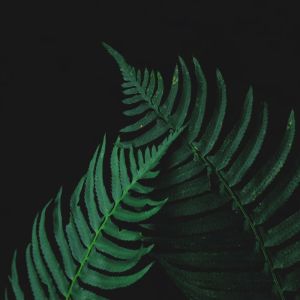 Listen to Sleep Sounds song with lyrics from Sleep Sounds of Nature