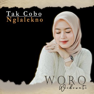 Dengarkan Tak Cobo Nglalekno lagu dari Woro Widowati dengan lirik