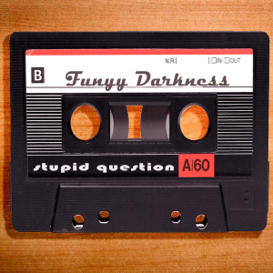 Album Stupid Question from Funny Darkness