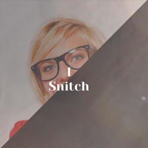 Various Artists的專輯I Snitch