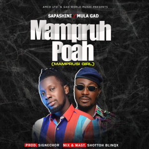 Album Mampruh Poah (Mamprusi Girl) (Explicit) from Mula Gad