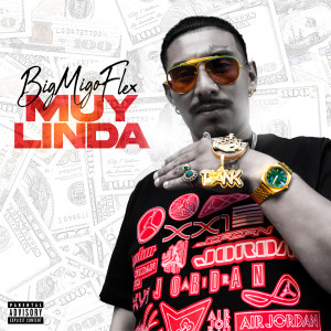 Listen to Pull Up Rogue (Explicit) song with lyrics from BigMigoFlex