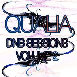 Album Dnb Sessions, Vol. 2 from Qualia