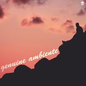 Various的专辑Genuine Ambiente