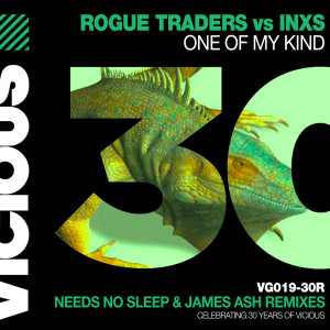 Rogue Traders的专辑One Of My Kind (Remixes)