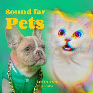 Yoonhan的專輯Sound for Pets