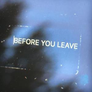 ดาวน์โหลดและฟังเพลง Before You Leave พร้อมเนื้อเพลงจาก Mark Diamond