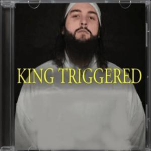 THE DJ MACHETTE的專輯KING TRIGGERED