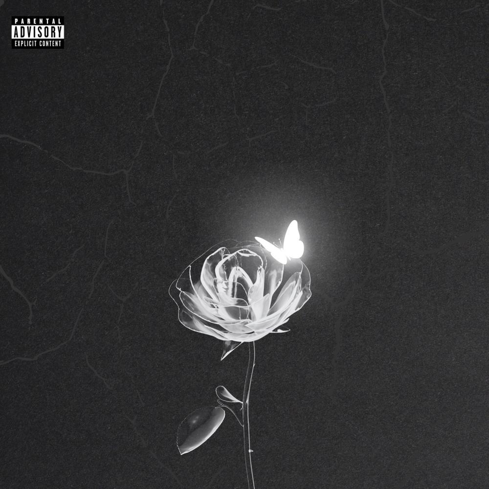 Butterflies (Magic Mountain) (Explicit)