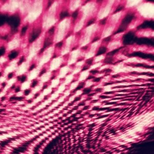 收聽Sucky Relation的True Love歌詞歌曲